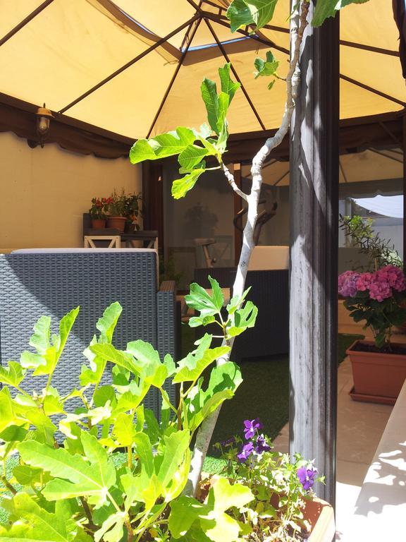 B&B Torrente Antico Трані Екстер'єр фото